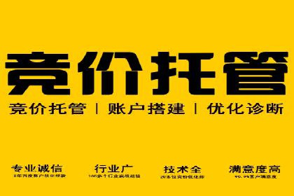 百度竞价广告投放案例剖析